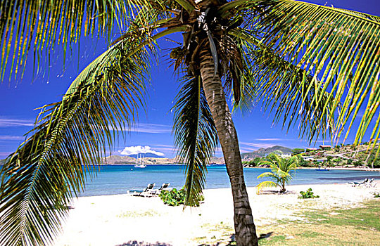 加勒比,尼维斯岛,海滩