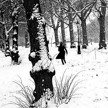 女孩,戴着,帽子,跑,海德,公园,暴风雪,伦敦,英国