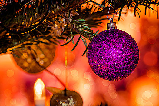紫色,圣诞节,小玩意,装饰,圣诞树