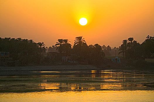 巡航,尼罗河,河,太阳,埃及
