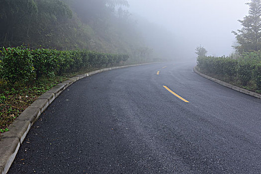 浓雾道路