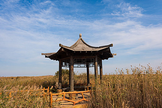 黄河入海口湿地