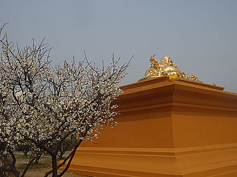 七宝教寺弥勒佛像