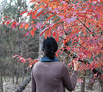 女人,正面,树,红色,叶子