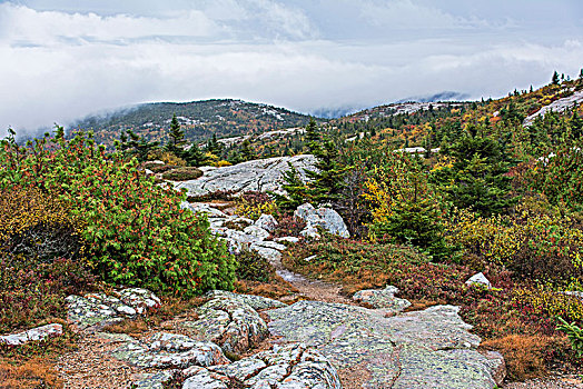 花冈岩,石头,阿卡迪亚国家公园,靠近,巴尔港,美国