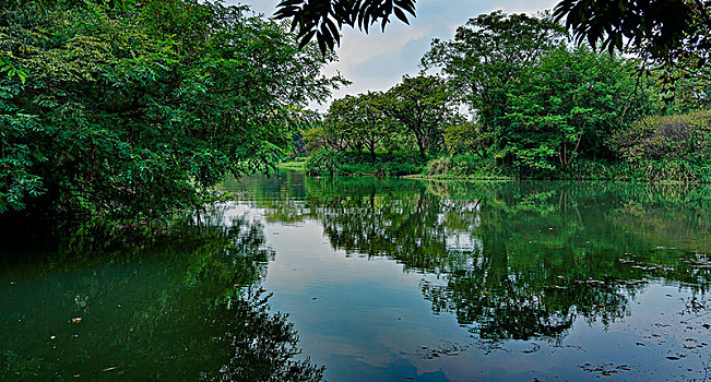 西溪湿地公园