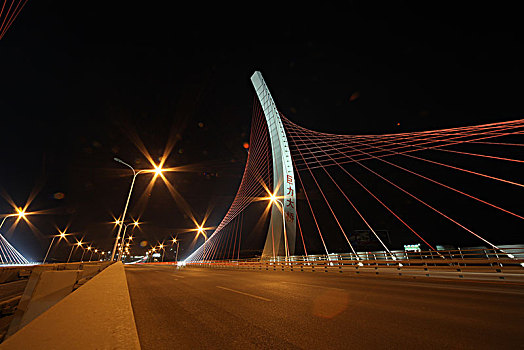 河北保定巨力大桥夜景