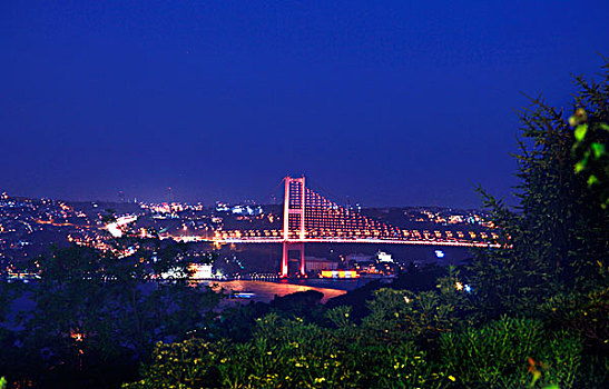 夜幕下的伊斯坦布尔大桥