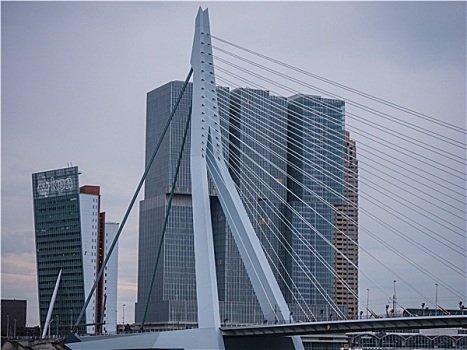 桥,鹿特丹,荷兰,阴天