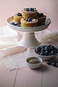 迷你,芝士蛋糕,蓝莓,种子