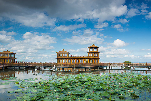 兴凯湖湿地公园夏季风光