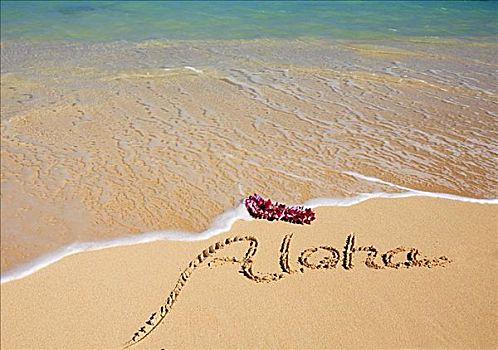 夏威夷,青绿色,海洋,水,泡沫,岸边,兰花,花环,书写,沙子