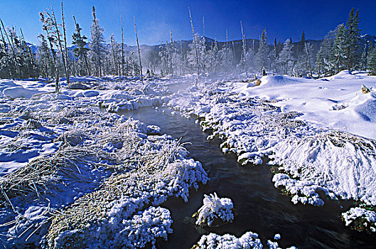 温泉,冬天,不列颠哥伦比亚省,加拿大