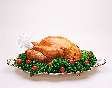 感恩节,火鸡,餐盘,白色背景