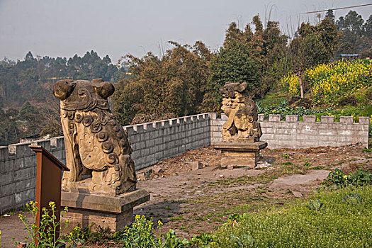 四川省乐山市犍为县罗城古镇南华宫门前这一对有着300多年历史,西南最大的石狮