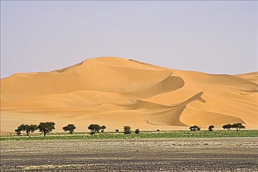 沙漠,阿卡库斯,利比亚