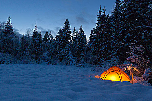 帐蓬,黄昏,冬天,露营,靠近,西冰川,蒙大拿,美国