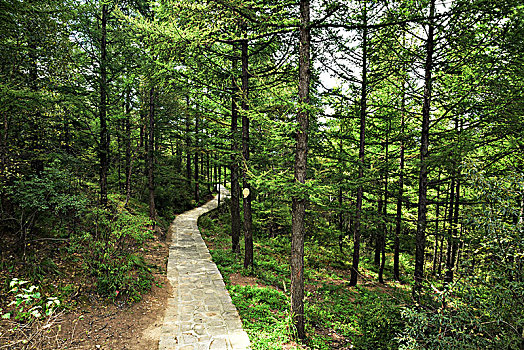 河北省石家庄市灵寿县五岳寨风景区