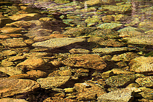 透过水面看水下五彩的石头