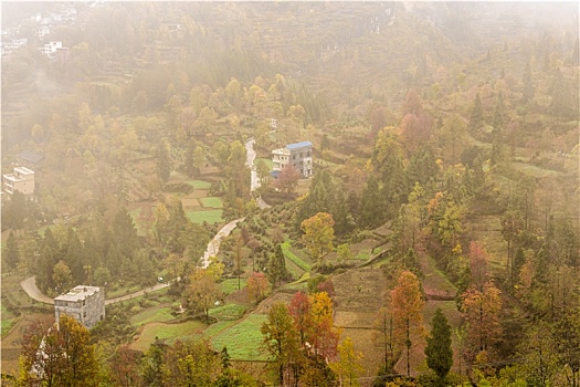 重庆酉阳,初冬景色,三