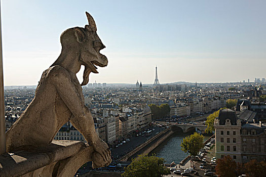 滴水兽,远眺,巴黎,赛纳河,河,背景,法国