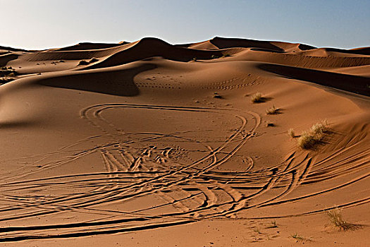 沙丘,却比沙丘,靠近,梅如卡,交通工具,轮胎,摩洛哥