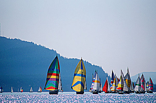 娱乐,大三角帆,航行,靠近,岛屿,温哥华岛,不列颠哥伦比亚省,加拿大
