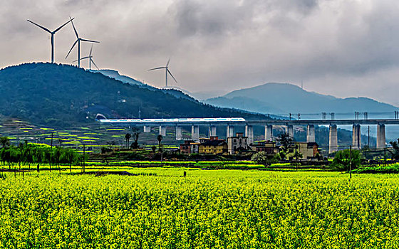 山,高铁,油菜花,春天,森林公园,驴友,村庄,农村,树,天空