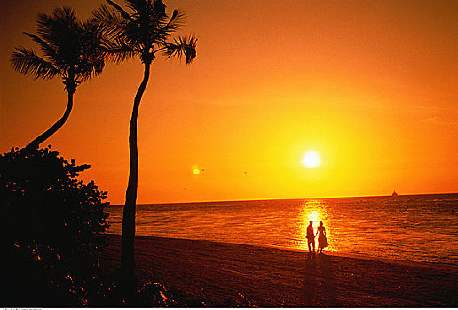 剪影,伴侣,热带沙滩,日落