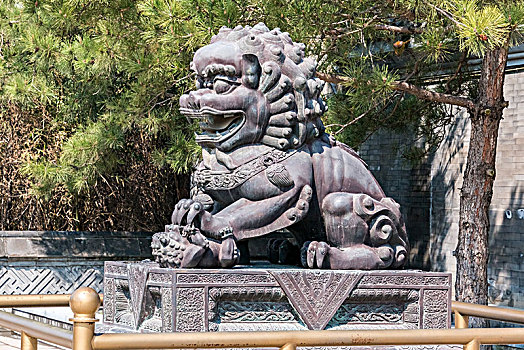 北京市颐和园石狮雕像建筑景观