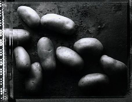 土豆,黑白图片