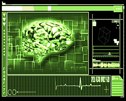 绿色,大脑,界面,科技
