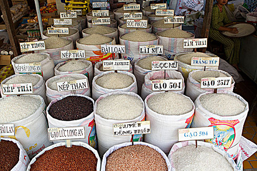 越南,种类,品种,米饭,市场