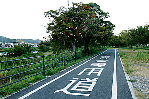 日本,京都,岚山