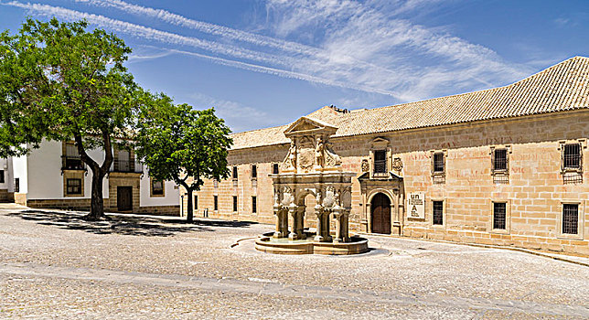 喷泉,圣马利亚,正面,大学,安达卢西亚,广场,巴埃萨,世界遗产,西班牙,欧洲