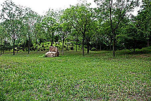 北京社区公园的绿地