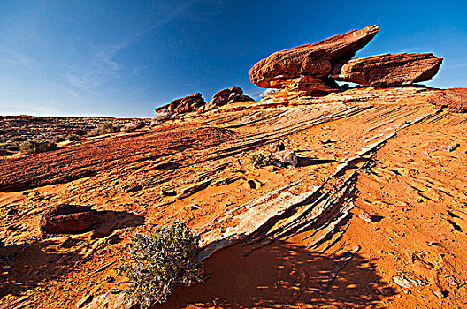 砂岩,岩石构造,科罗拉多高原,亚利桑那,美国
