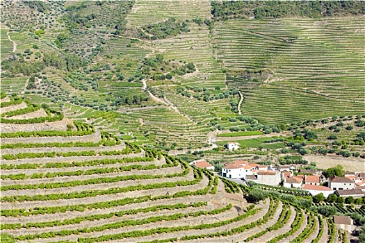 山谷,葡萄牙