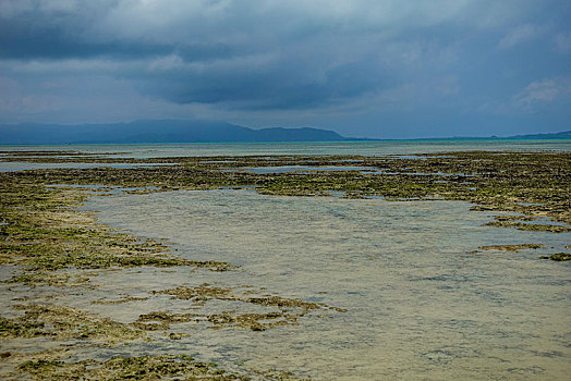 海洋,岛屿,冲绳,日本