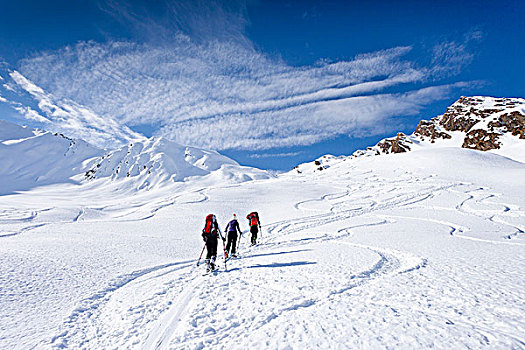 滑雪,攀登,山,背影,高处,省,意大利,欧洲