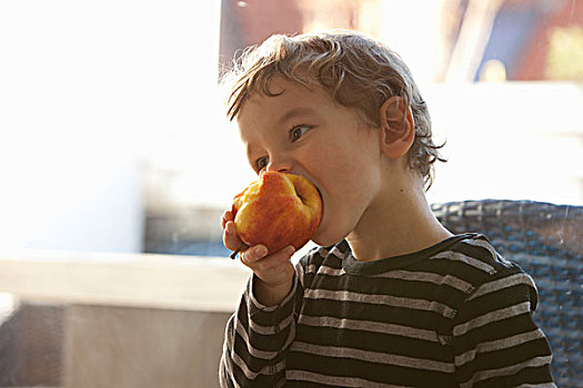 特写,男孩,吃,苹果
