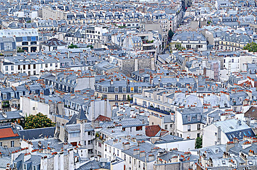 远眺,屋顶,巴黎,大教堂,神圣,心形,法国,欧洲