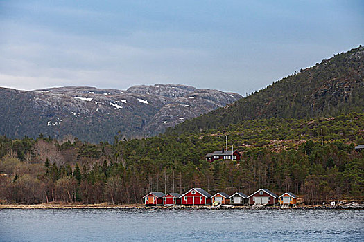 传统,挪威,小,渔村,彩色,木屋,海岸