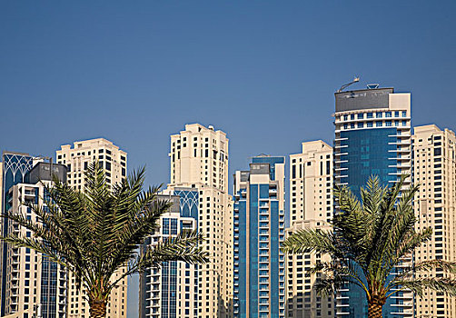 阿联酋,迪拜,塔,海滩,住宅,两个,棕榈树,正面