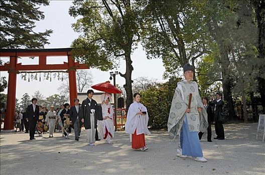 婚礼,伴侣,道路,日本神道,典礼,神祠,牧师,京都,日本,亚洲