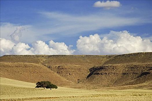干燥,风景,草,山,云,南,纳米比亚,非洲