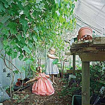 小,女孩,浇水,植物,温室