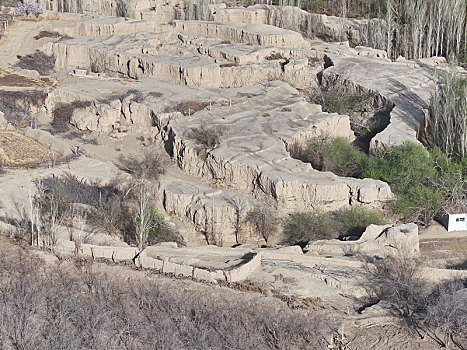 新疆哈密,汉唐古城春色浓