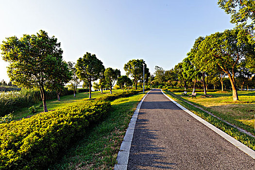 道路