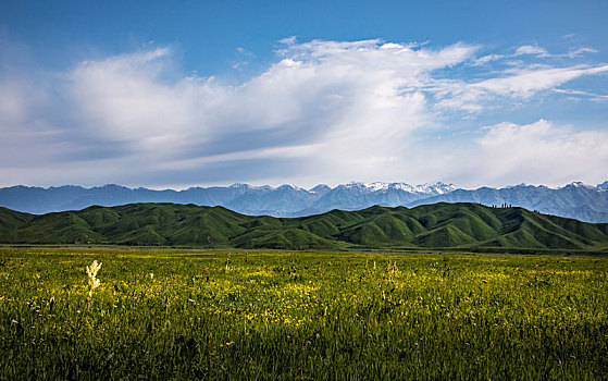 新疆独库公路美景